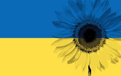 Simple Statement of Solidarity with Ukraine: Flower Power!