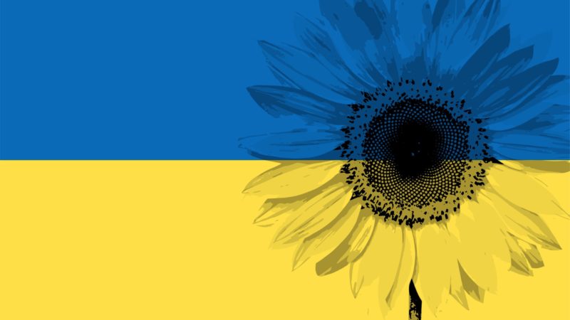 Simple Statement of Solidarity with Ukraine: Flower Power!